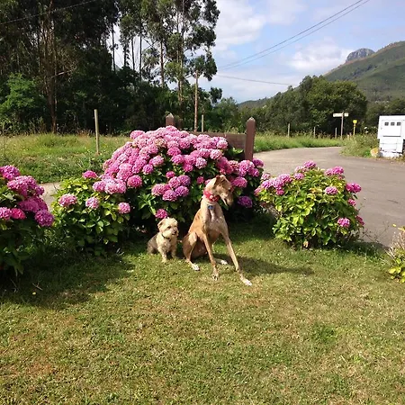 Mirador Del Sella Ribadesella