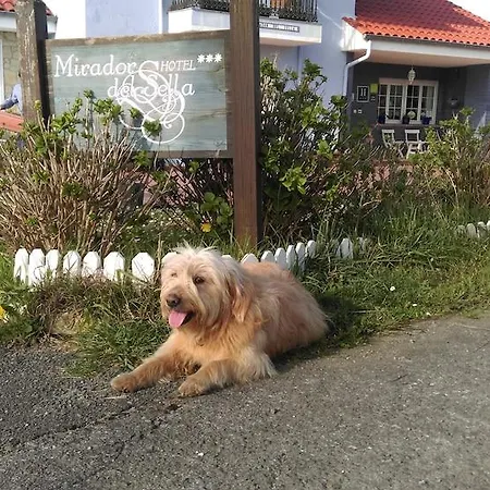 Hotel Mirador Del Sella 3*