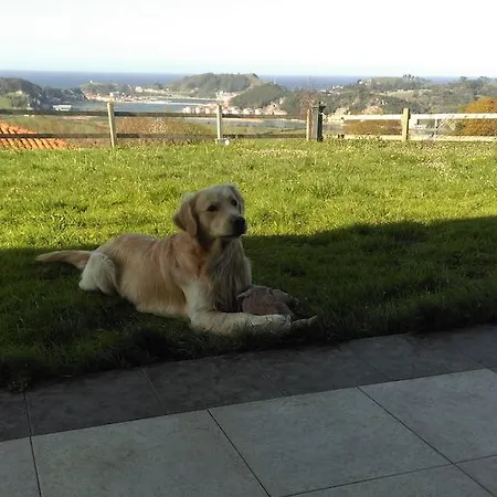 Hotel Mirador Del Sella 3*