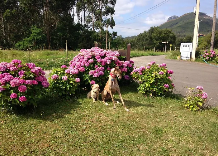 Mirador Del Sella Ribadesella