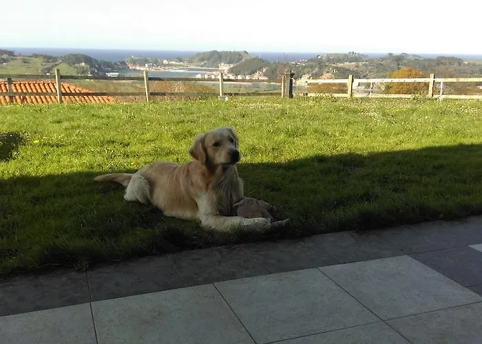 Hotel Mirador Del Sella 3*